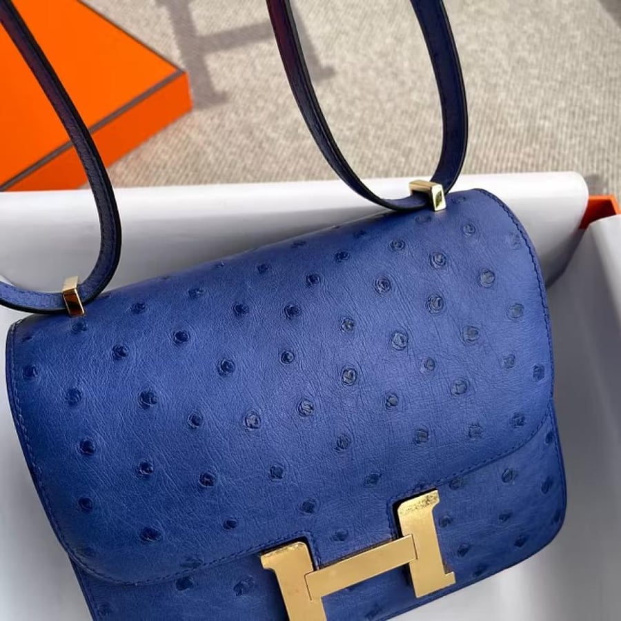 Constance 18CM Ostrich 7T BlueElectrie Gold