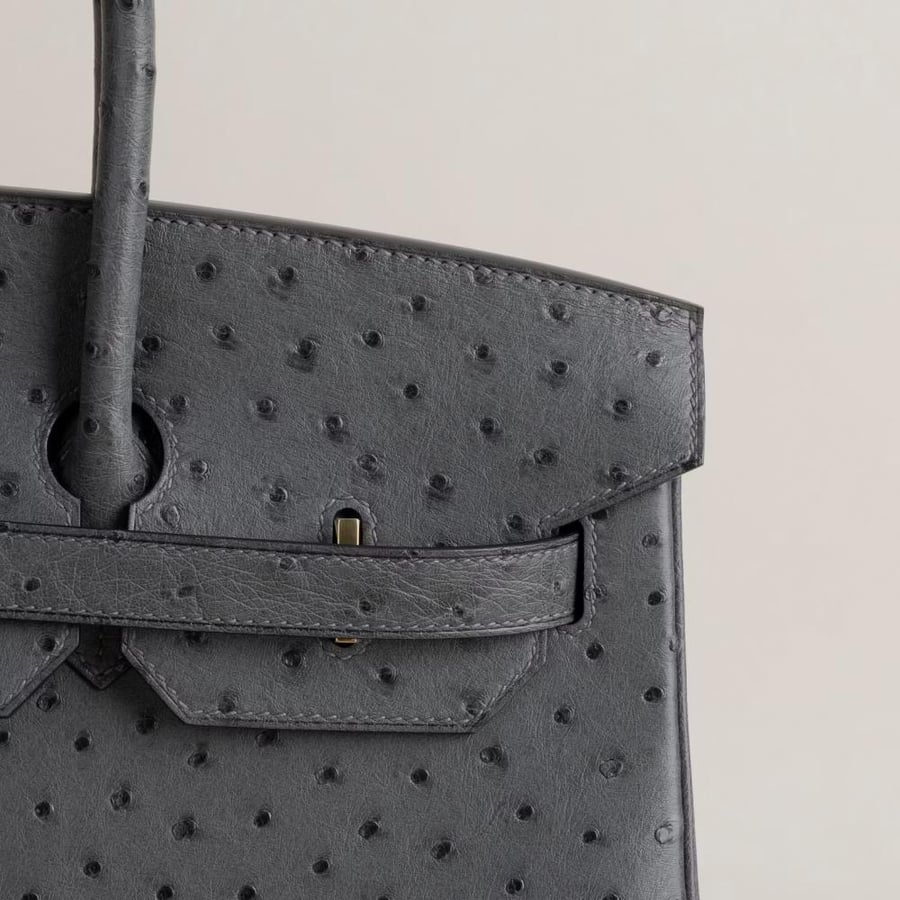 Birkin 35cm Ostrich 0L Gris meyer GHW