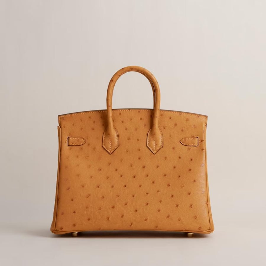 Birkin 25cm Ostrich I9 Aprcot GHW