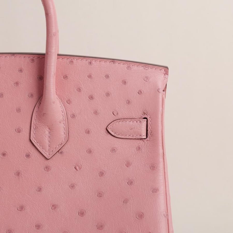 Birkin 25cm Ostrich 94 Terrecuite PHW