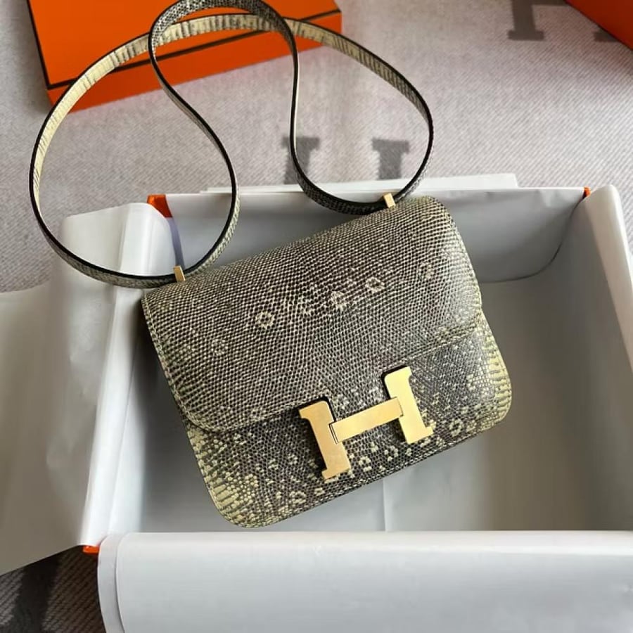Constance 18CMlizard Ombre/Shadow Gold