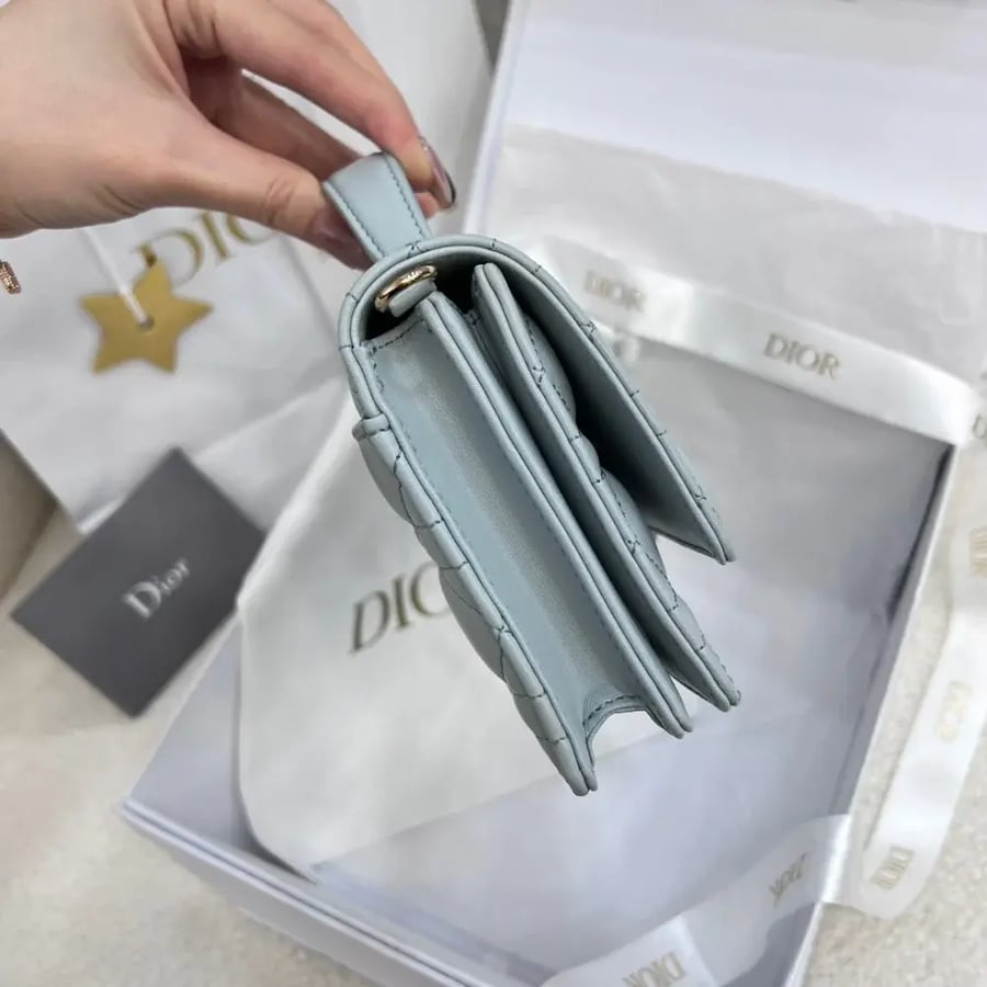 My dior mini bag