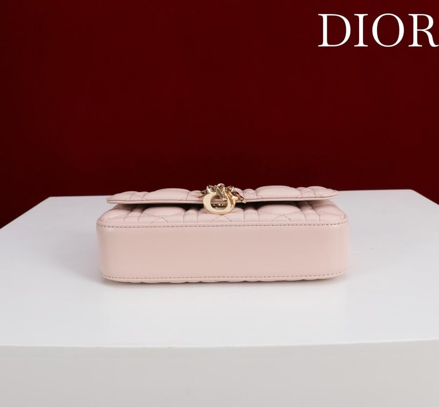 Lady dior phone pouch
