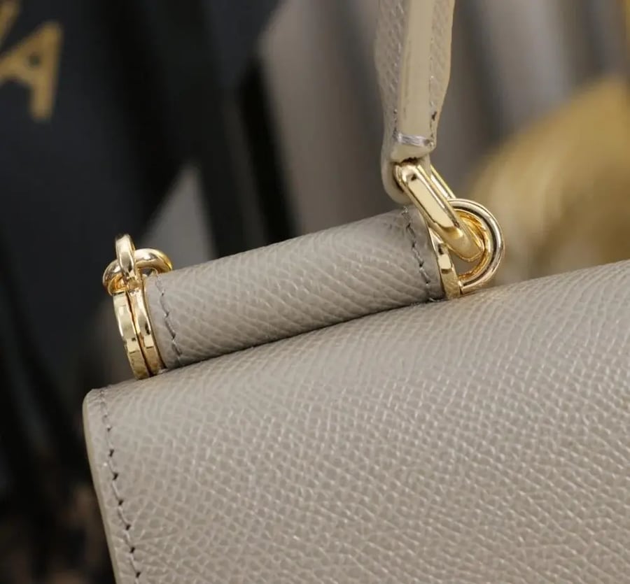 Dauphine-print calfskin mini bag