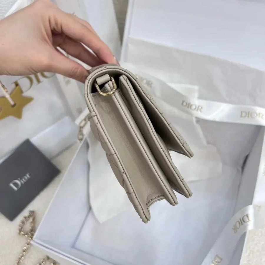 My dior mini bag