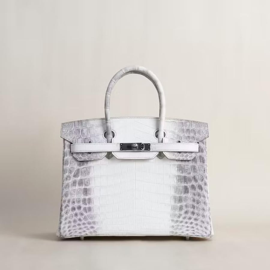 Birkin 30cm Matte Niloticus Crocodile 01 Himalayan PHW