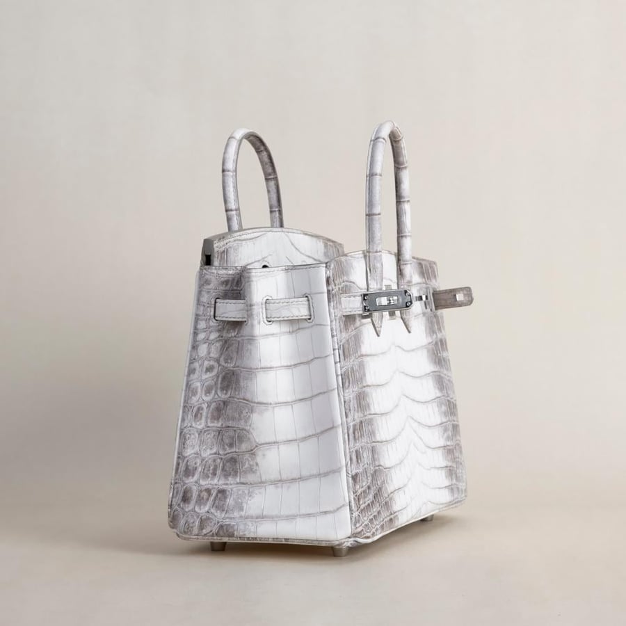 Birkin 25cm Matte Niloticus Crocodile 01 Himalayan PHW