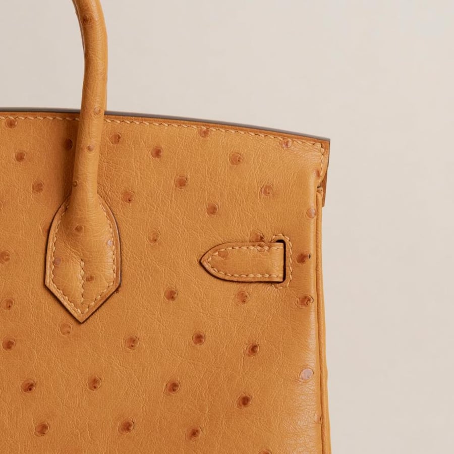 Birkin 25cm Ostrich I9 Aprcot GHW