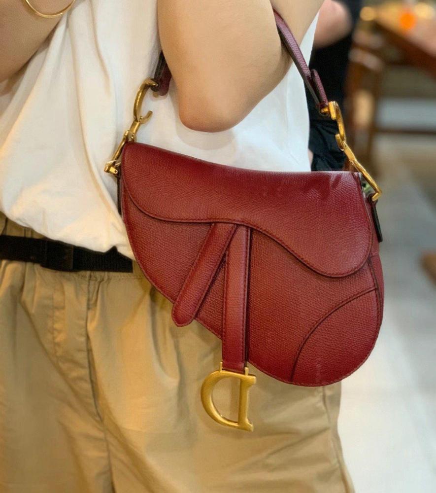 Dior Saddle Bag with Strap 19cm