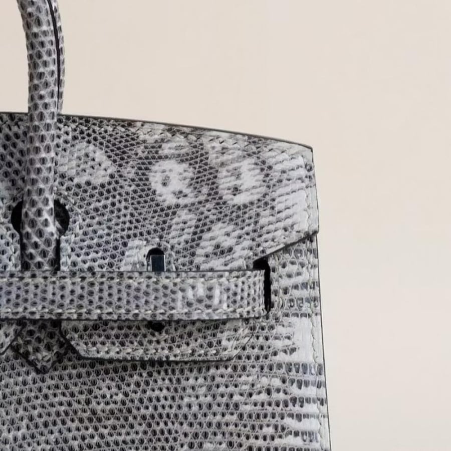 Birkin 20cm Sellier Lizard skin 1B Ombre PHW