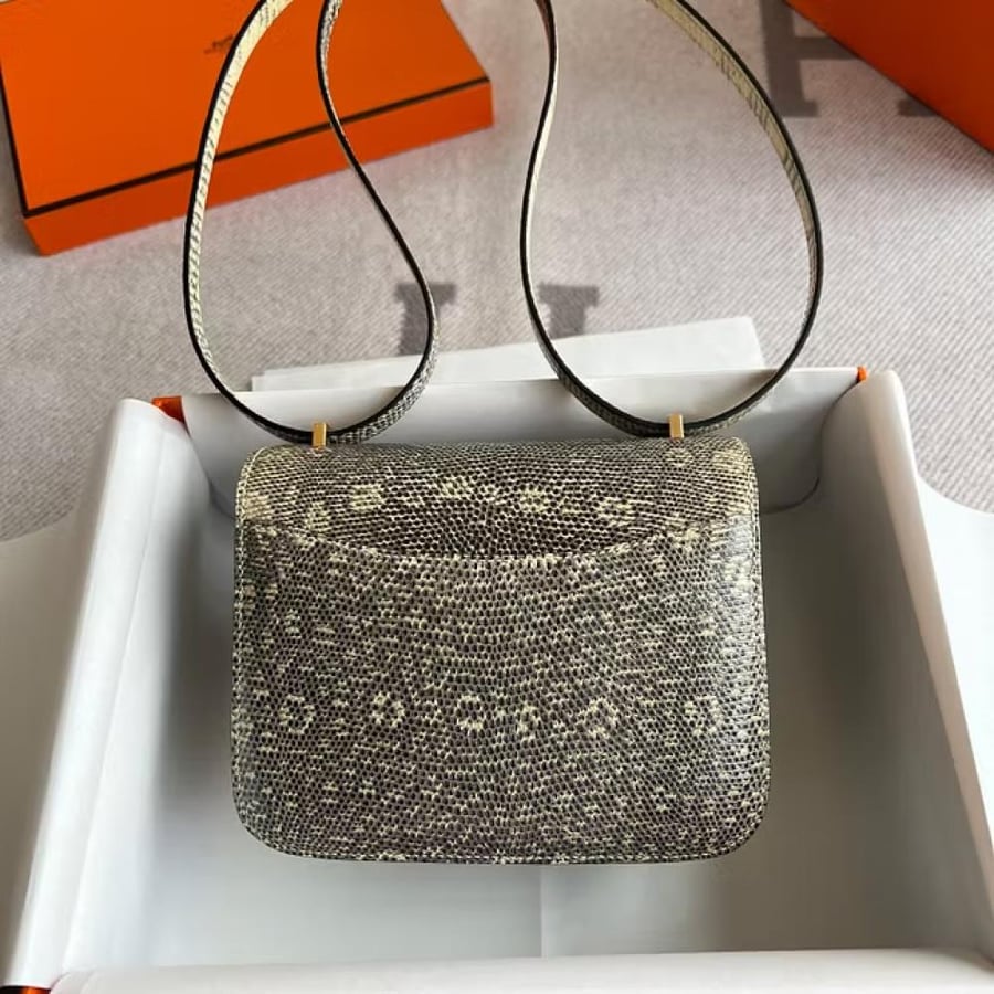 Constance 18CMlizard Ombre/Shadow Gold