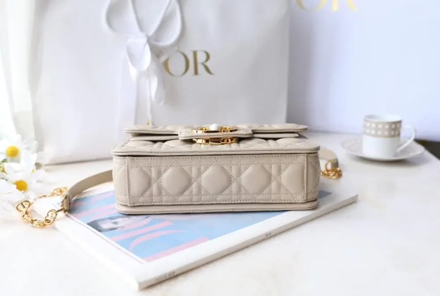 Dior Jolie 22cm