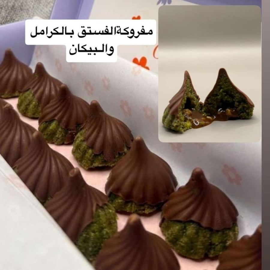 الفسيدق والكرميل والبيكان - فنر