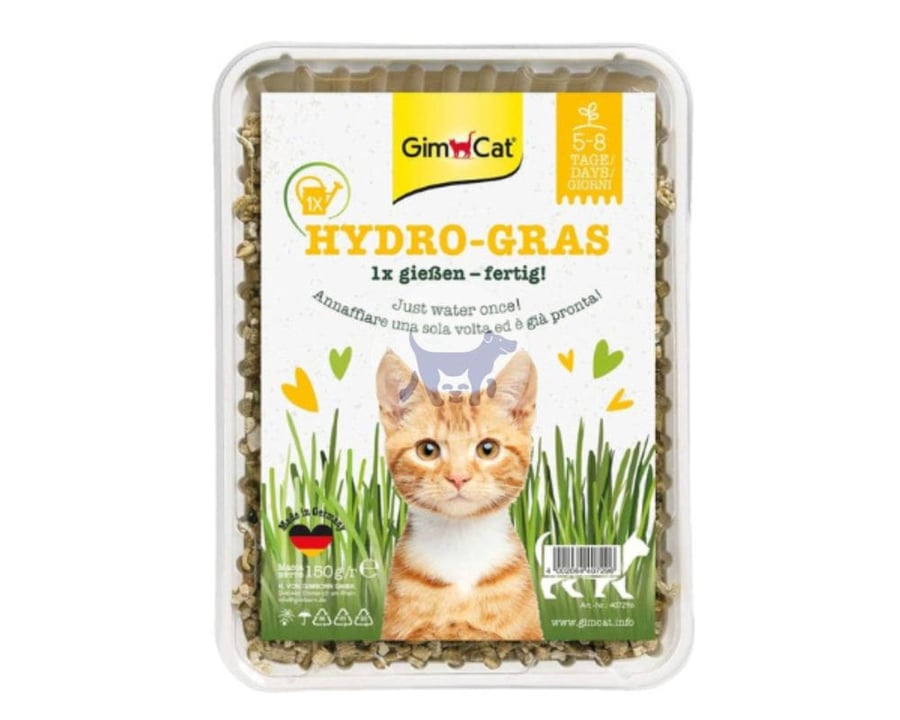 جيم كات هيدرو غراس هيربول عشب طبيعي للقطط 150g