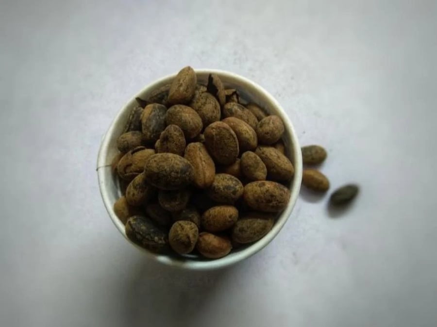King's seed 10 grams