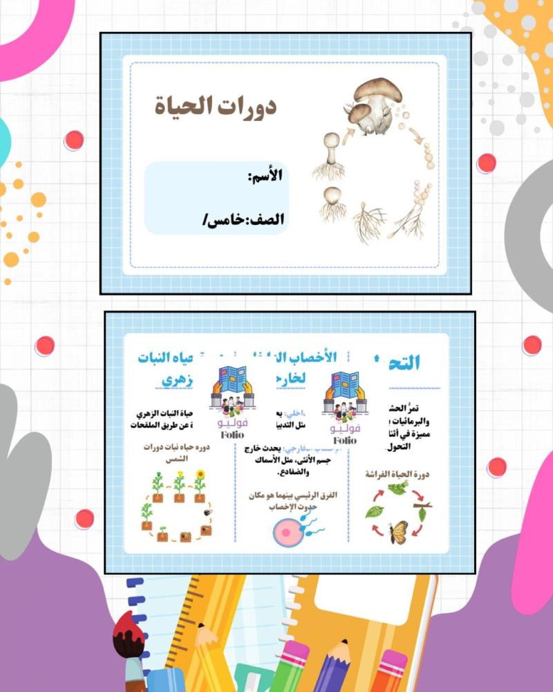 مطوية دورات الحياة - خامس ابتدائي - علوم PDF | جاهزة للطباعة