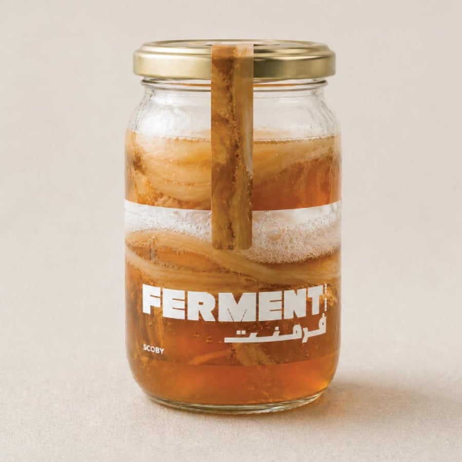 KOMBUCHA SCOBY - بادئ الكومبوتشا
