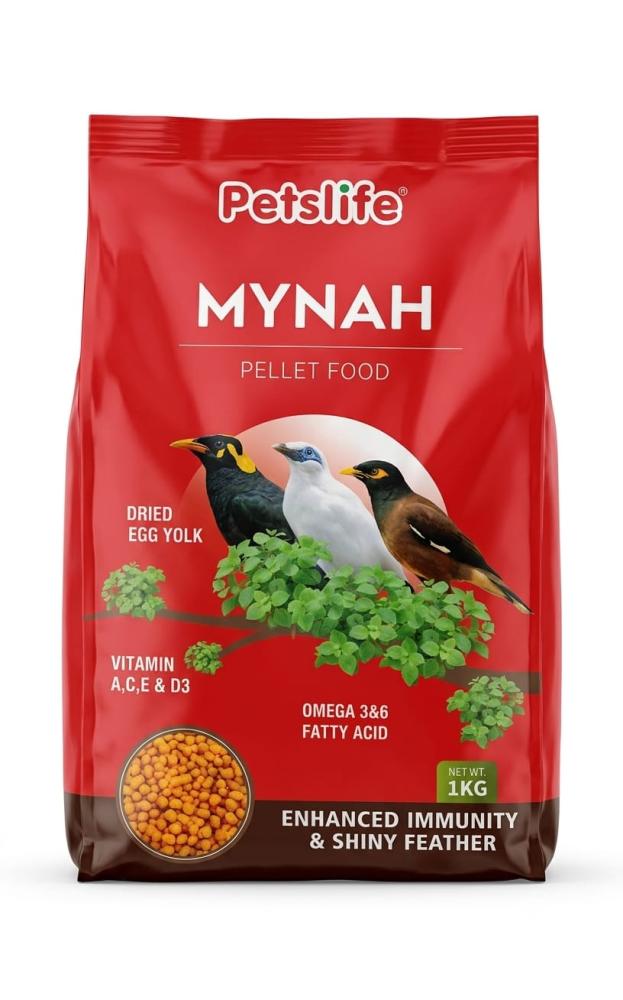 اكل طيور المينا والبلابل