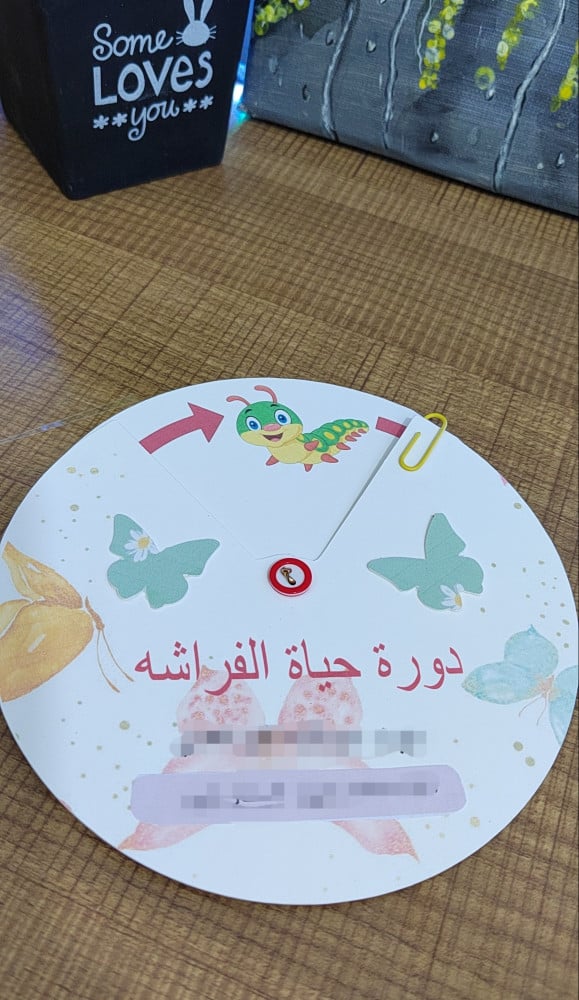 Fly lifecycle brochure