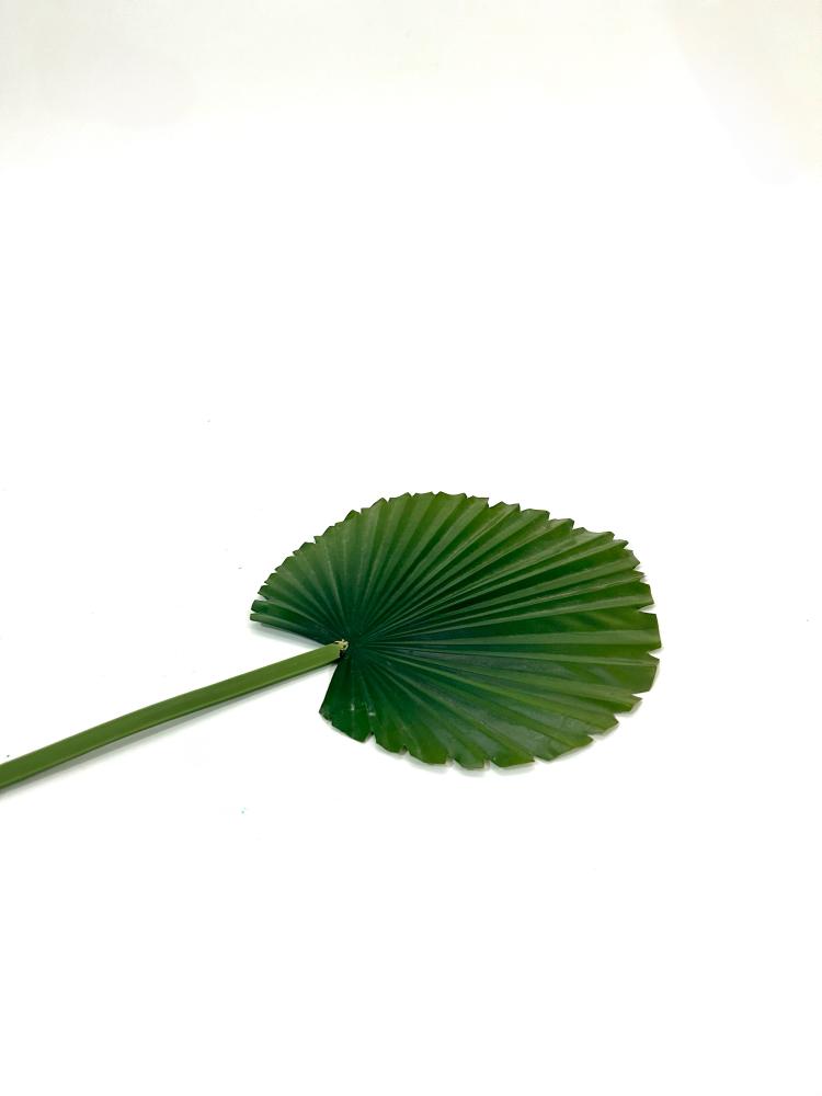 غصن
