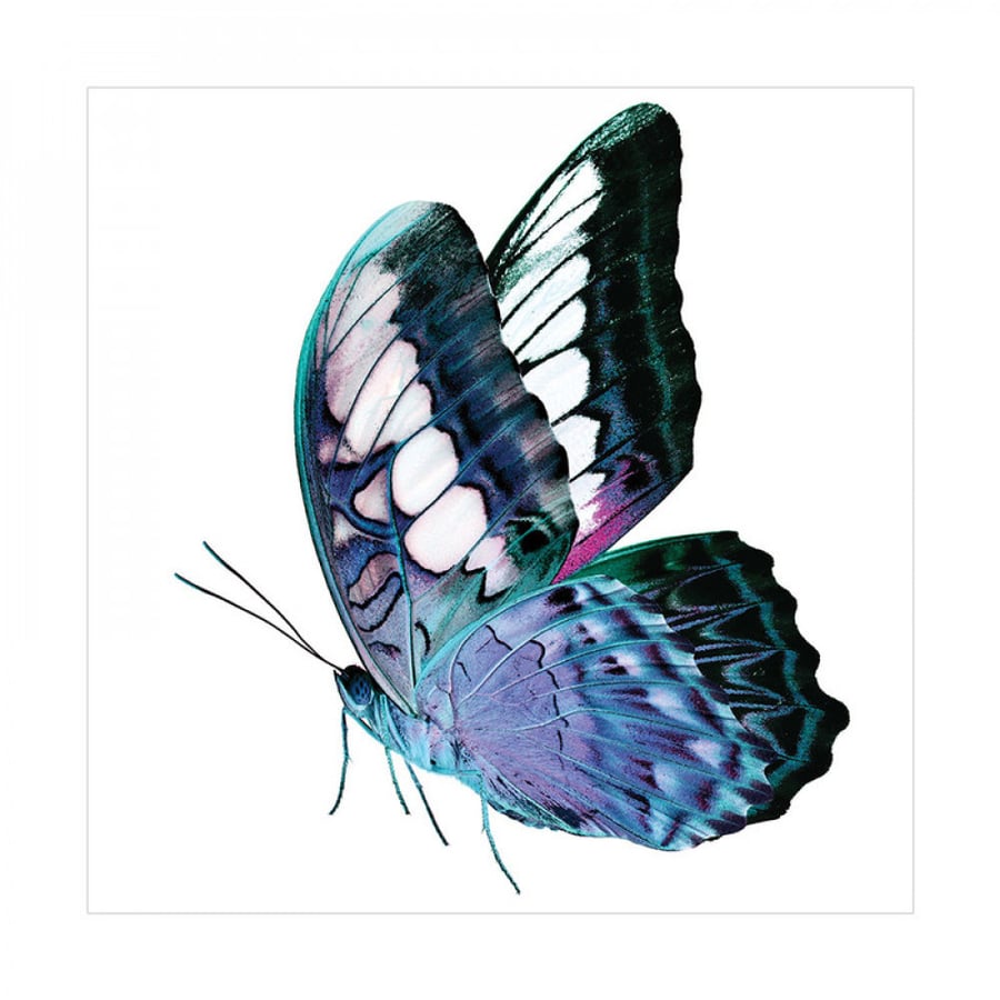 Wall art for home decor printed on lightweight sturdy board without frame size 30 × 30 cm