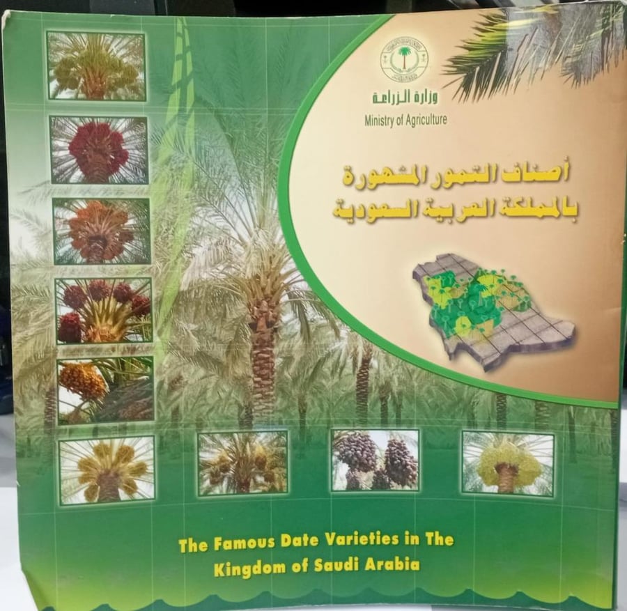 أصناف التمور المشهورة بالمملكة العربية السعودية وزارة الزراعة ر ك