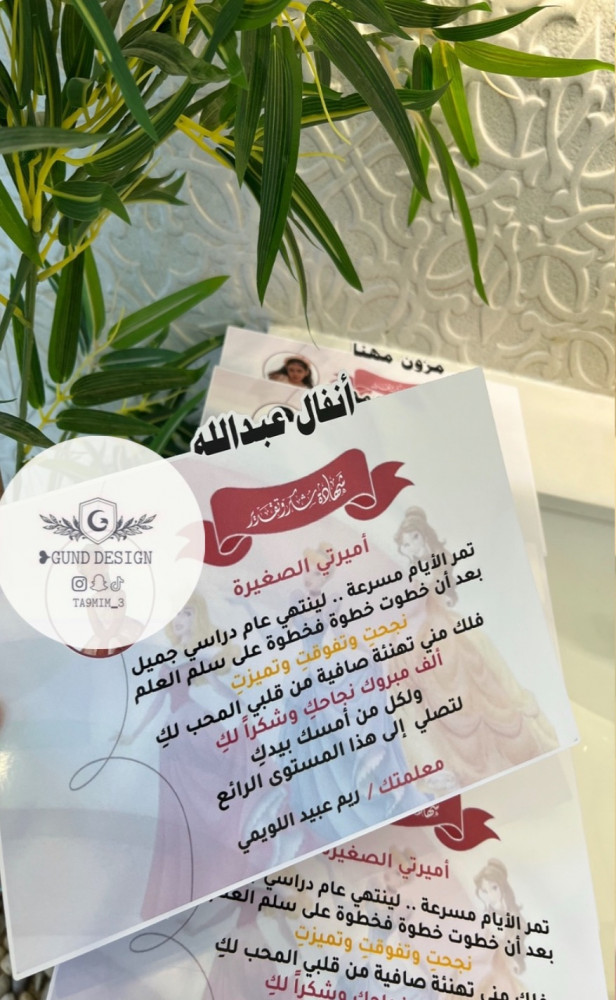 شهادات أميرات ديزنني