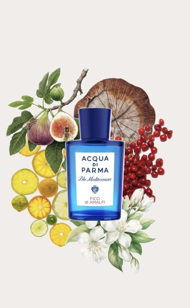 Amalfi FIG Essential Oil