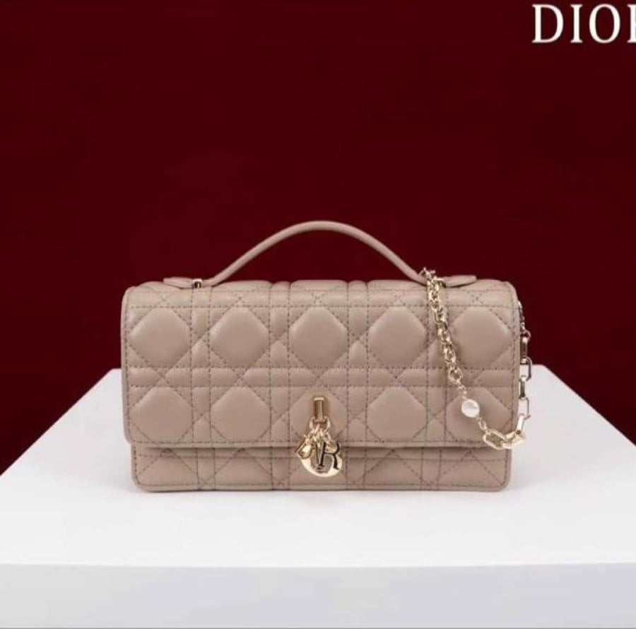 Lady Dior  Size: 21*11.5*4.5cm
