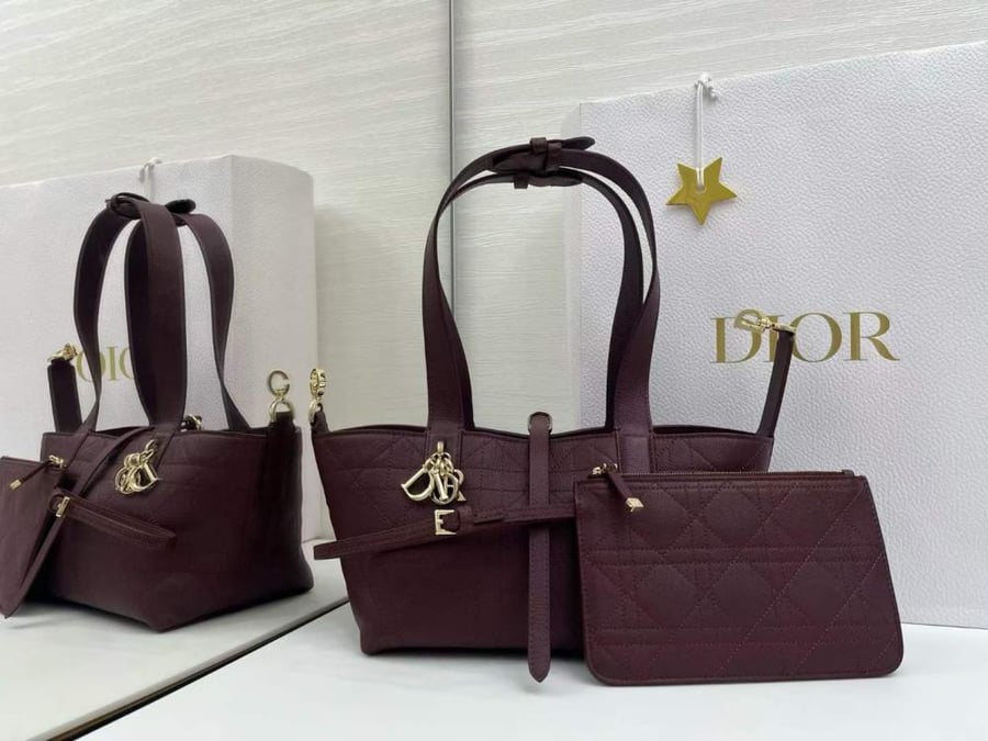 حقيبة Dior Toujours M2821 – المقاس الصغير | 23 × 15.5 × 12 سم
