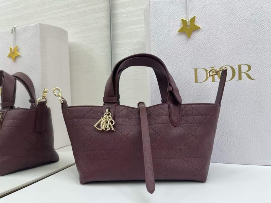 حقيبة Dior Toujours M2821 – المقاس الصغير | 23 × 15.5 × 12 سم