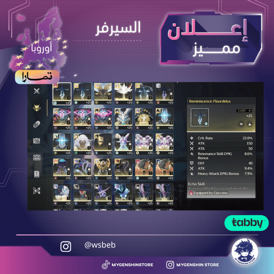(wsbeb) حساب سيرفر اوروبا لفل 80يحتوي(24 شخصية)