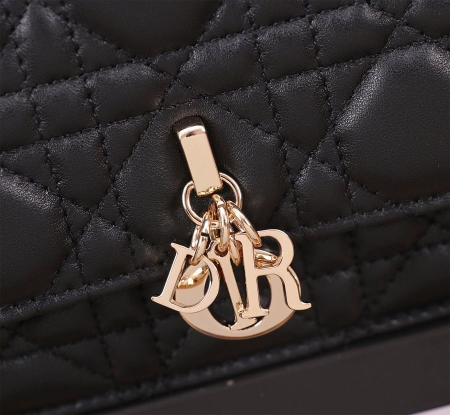Dior saddle pouch with golden hardware