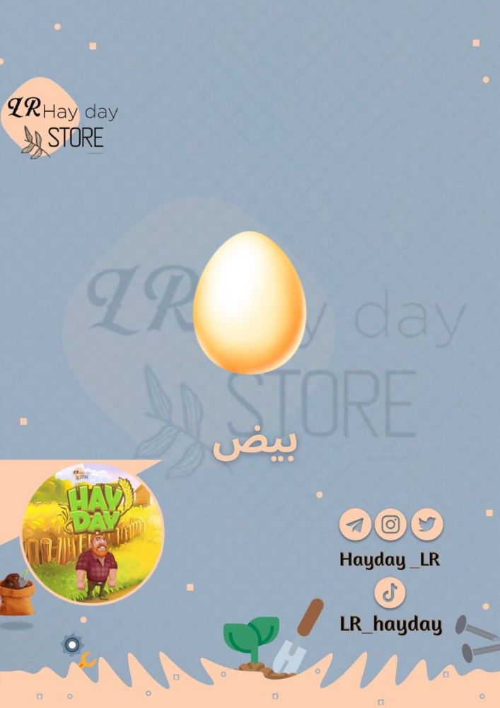 100 بيض | هاي داي