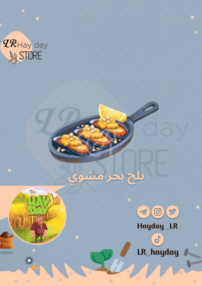 50 بلح بحر مشوي /هاي داي