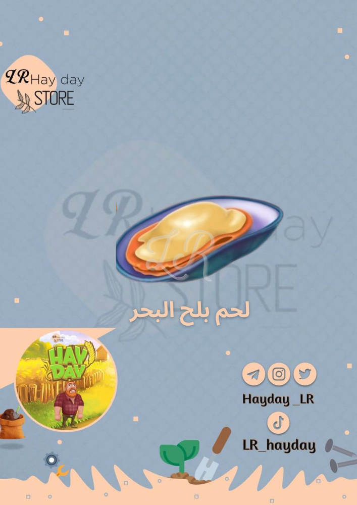 50 لحم بلح البحر /هاي داي