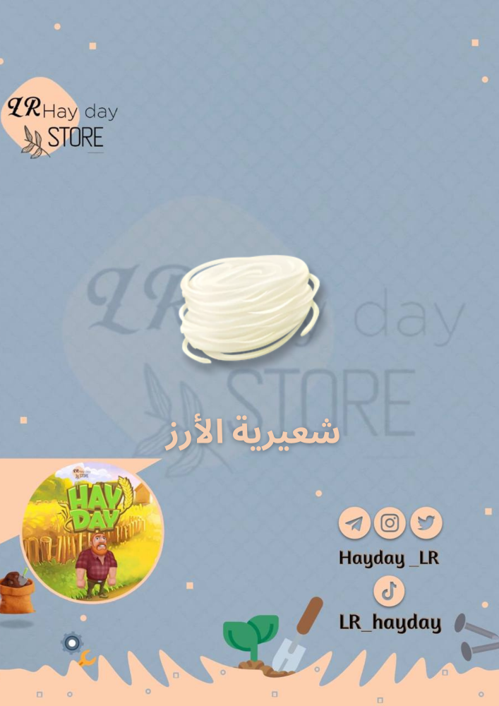 50 rice vermicelli / Hi Day