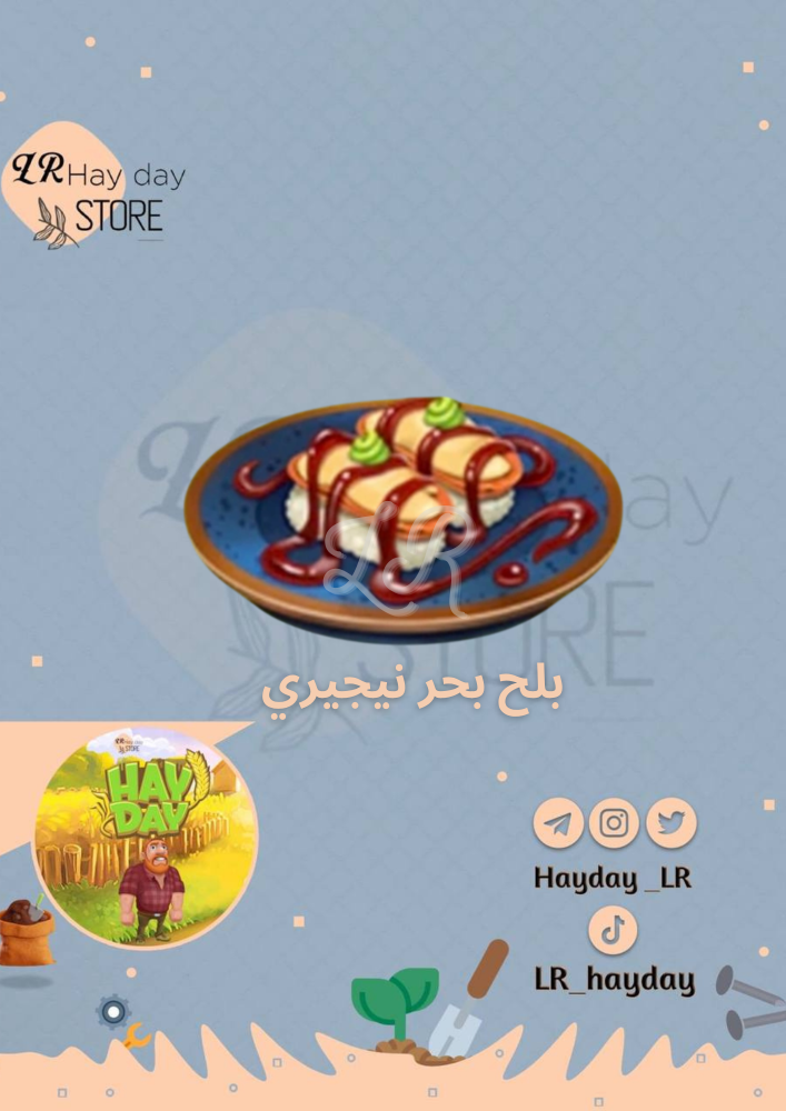 50 بلح بحر نيجيري /هاي داي