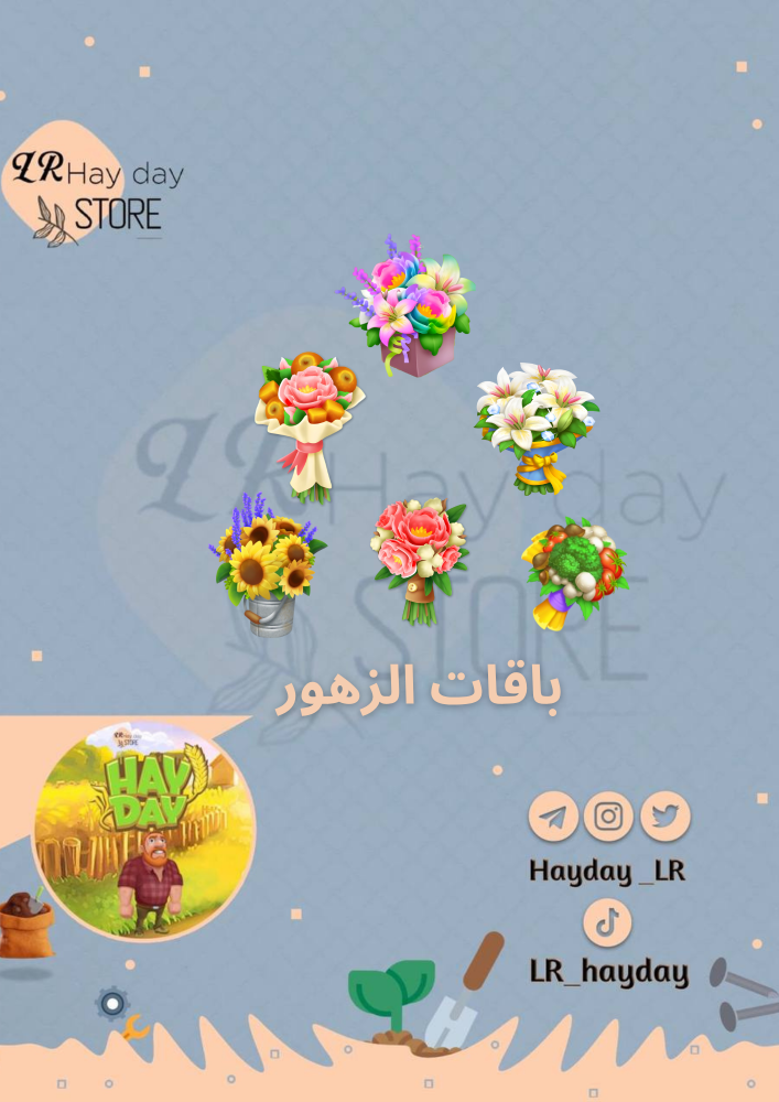 100 باقة زهور متنوعه / هاي داي