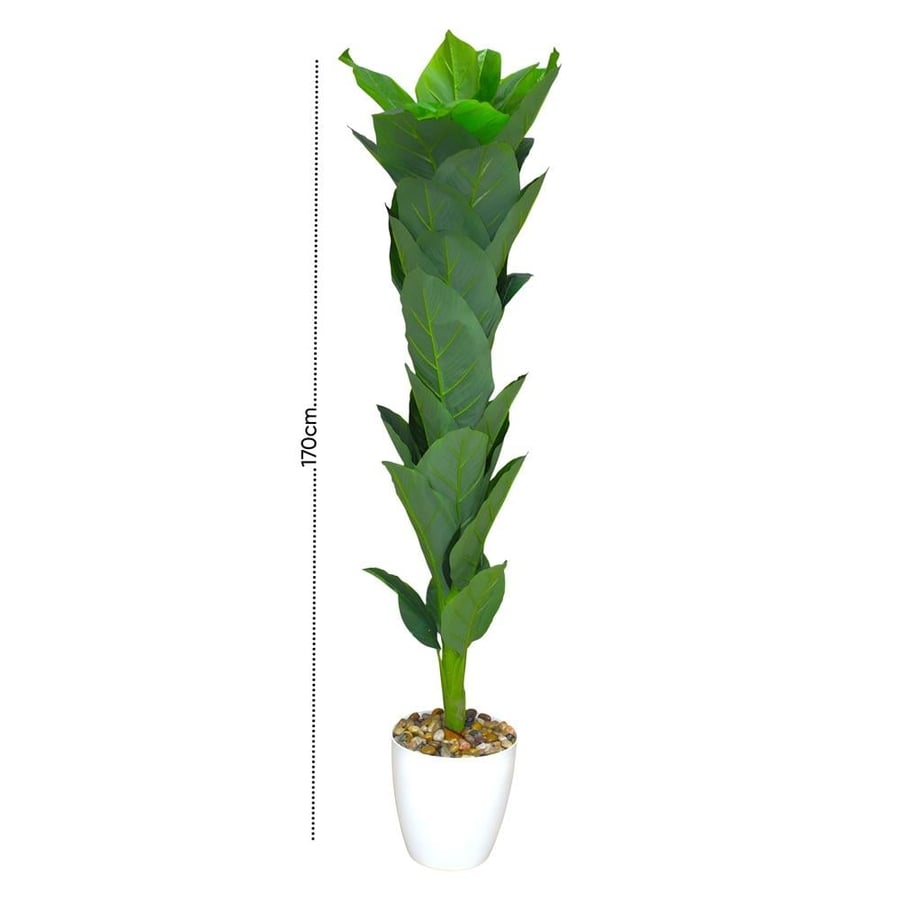 شجرة زينة