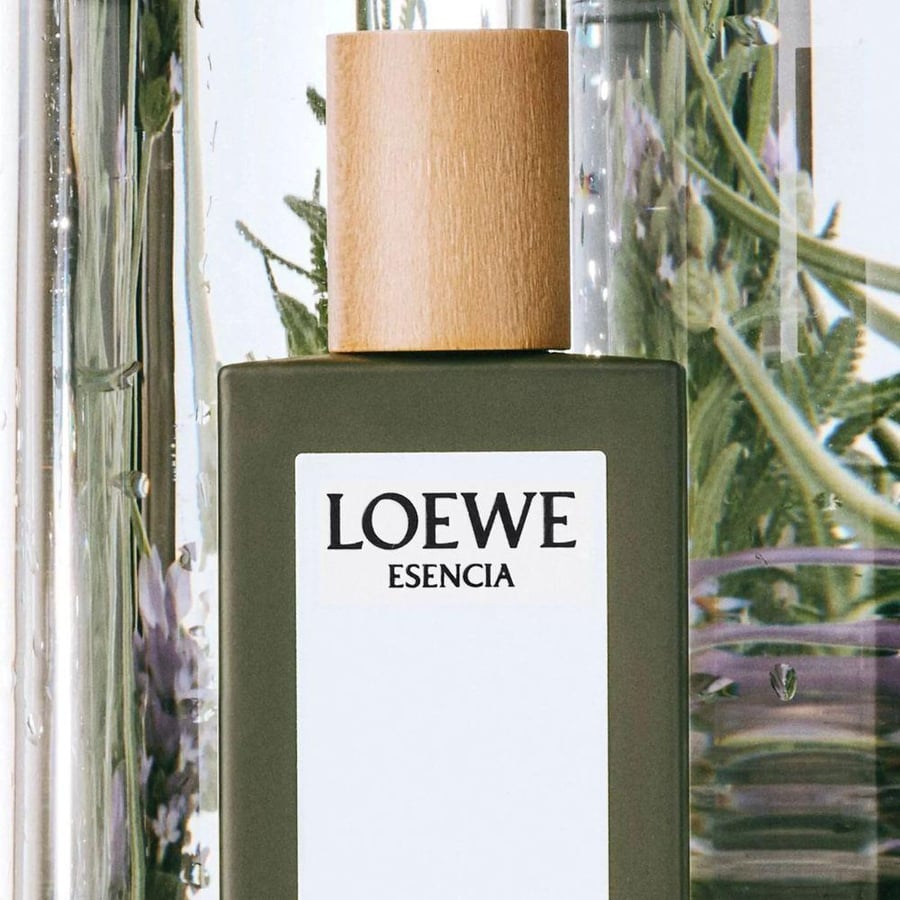 عطر لويفي ايسينسيا بور هوم Loewe Esencia Pour Homme Eau de Parfumمل100