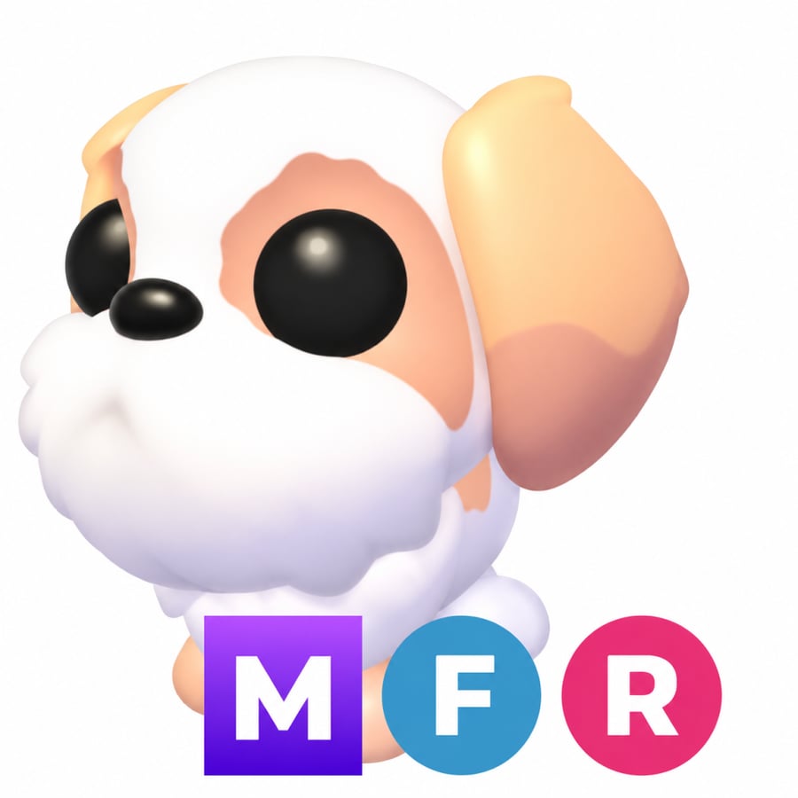 كلب الشيتزو ميقا - MFR Shih Tzu