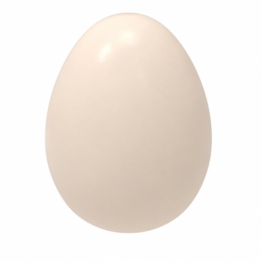 بيضة الحيوان الأليف - Pet Egg