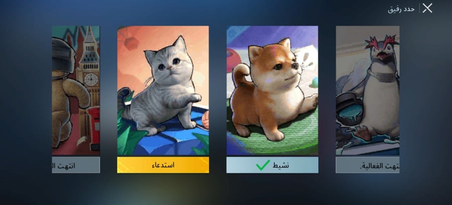 متجر حسابات ببجي