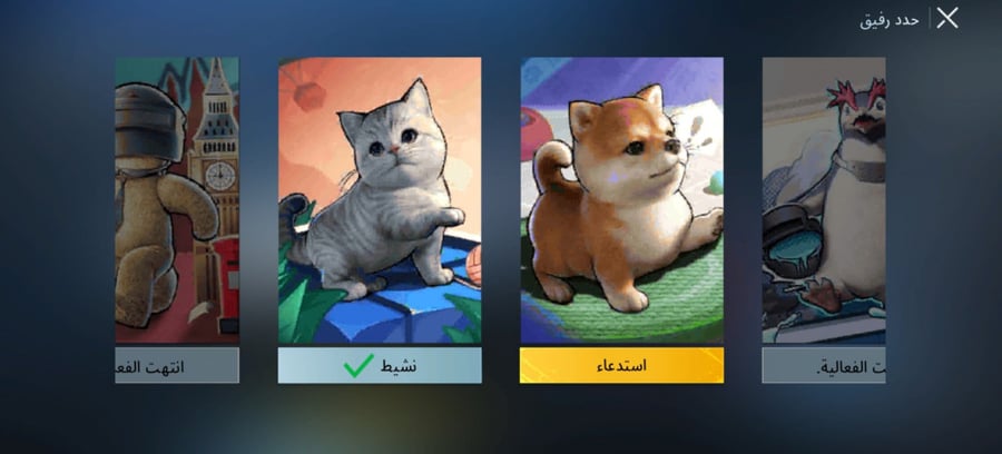 متجر حسابات ببجي