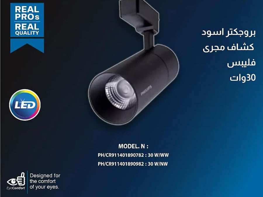 كشاف مجرى بروجكتر غطاء اسود 30 واط لون الانارة شمسي كريمي ( مباشر 220V | لا يحتاج ترنس ) من فيليبس