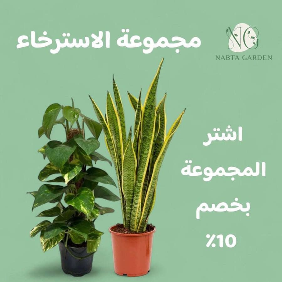 مجموعة نباتات