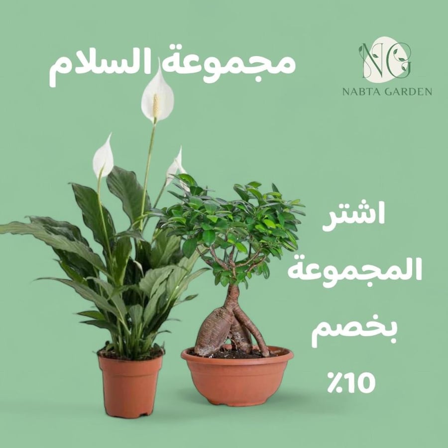 نباتات طبيعية