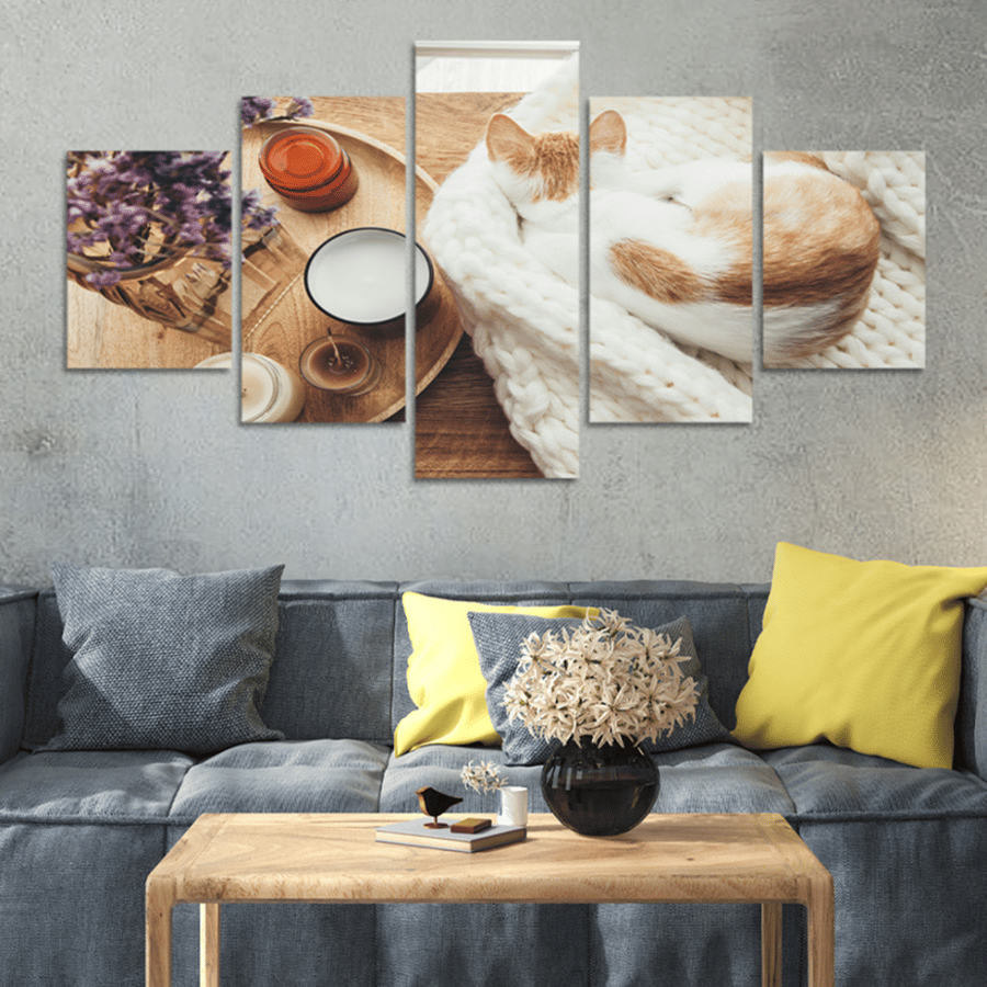 Set of 5 divided plates #G54711