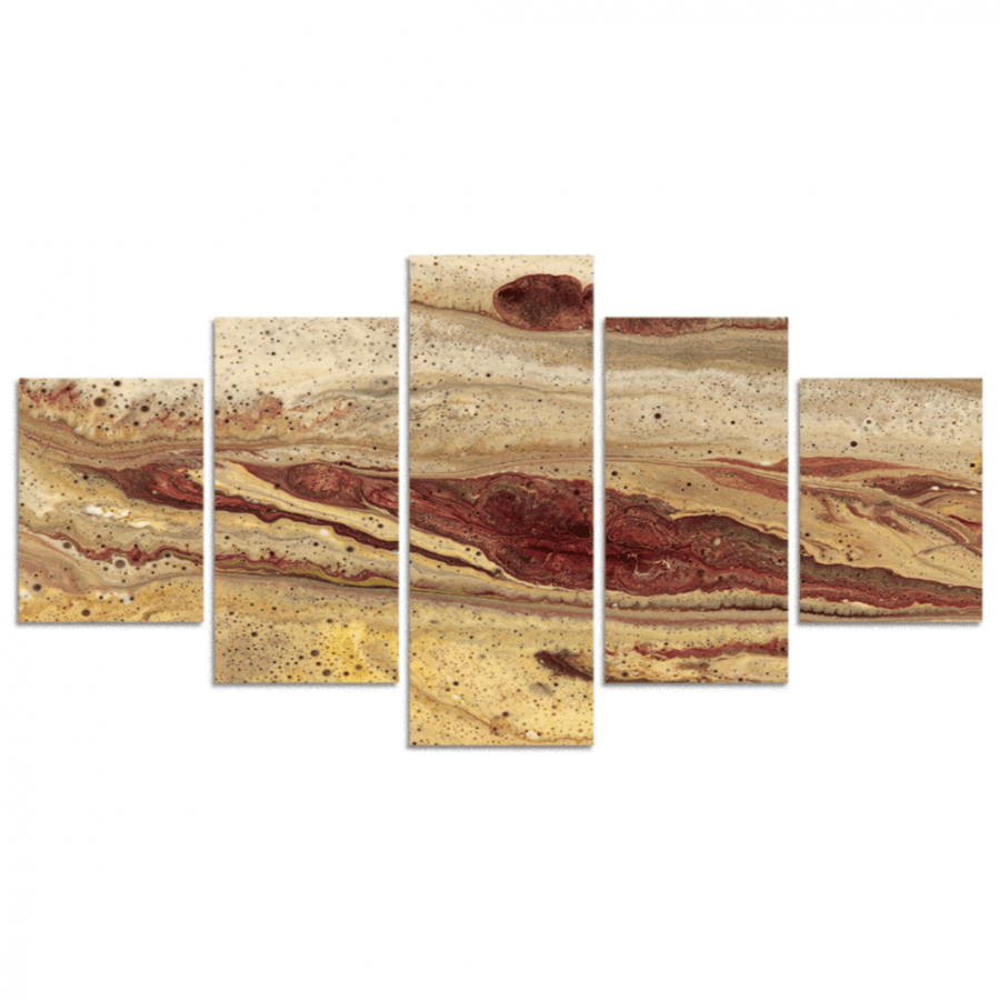Set of 5 divided plates #G58011